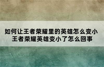 如何让王者荣耀里的英雄怎么变小 王者荣耀英雄变小了怎么回事